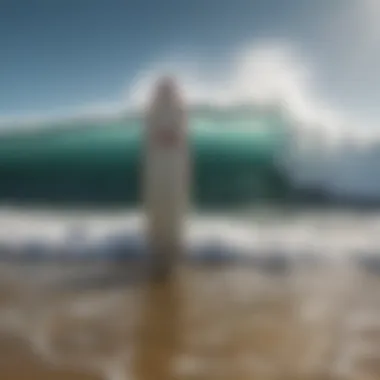 Magnificent Exploring the 8 Foot Foamie Surfboard: A Comprehensive Guide Magnificent Exploring the 8 Foot Foamie Surfboard: A Comprehensive Guide
