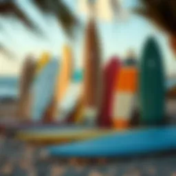 Diverse surfboard types displayed on a beach