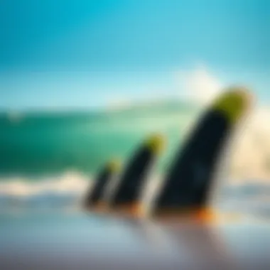 Innovations in Fin Design Technology Technological advancements in fin design