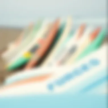 Close-up of surfboards lined up on the beach, showcasing various designs