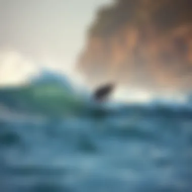 A surfer catching a wave at a renowned Bay Area surfing location