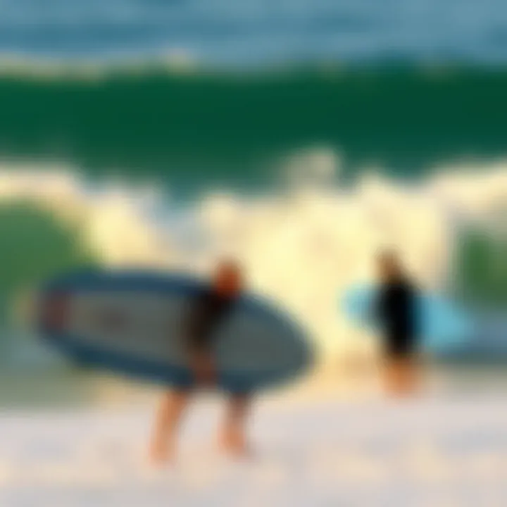 Environmental Efforts at Bells Beach An eco-friendly initiative at Bells Beach to protect the coastline