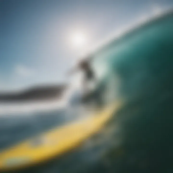 Different types of SUPs for surfing