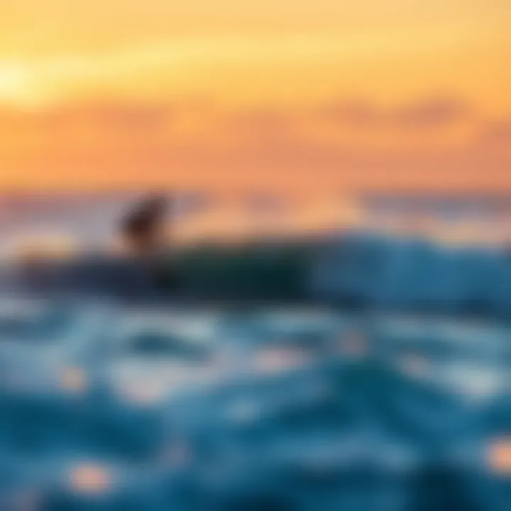 Sunset view over iconic surf waves