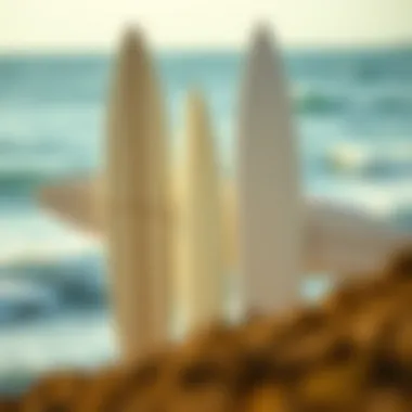 Comparison of Surfboard Shapes Side view comparison of different surfboard shapes