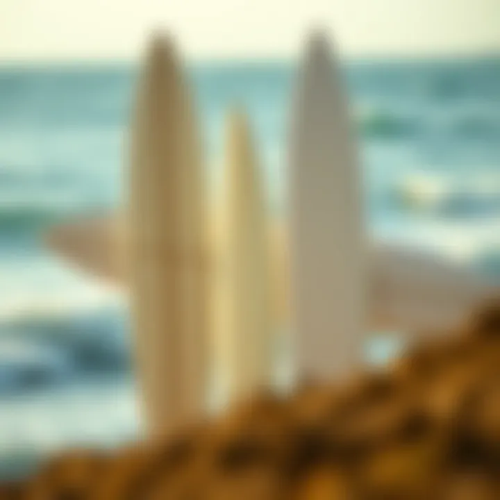 Comparison of Surfboard Shapes Side view comparison of different surfboard shapes