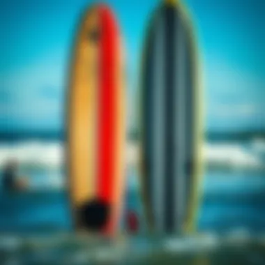 Designs of Paddle Boards and Surfboards Side-by-side comparison of paddle board and surfboard designs