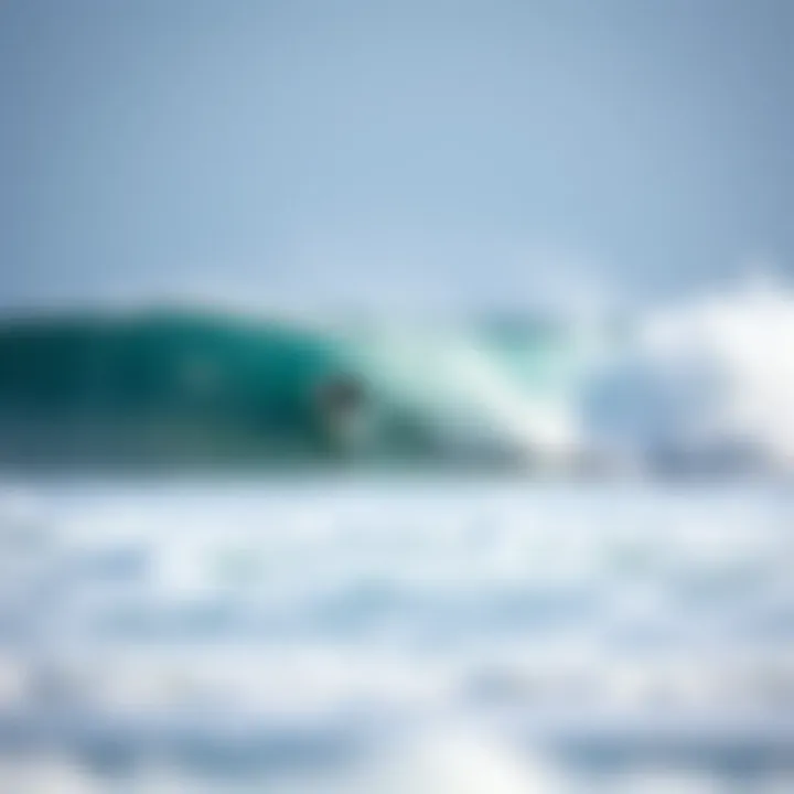 Optimal Surf Conditions at C Street C Street surf break under ideal conditions