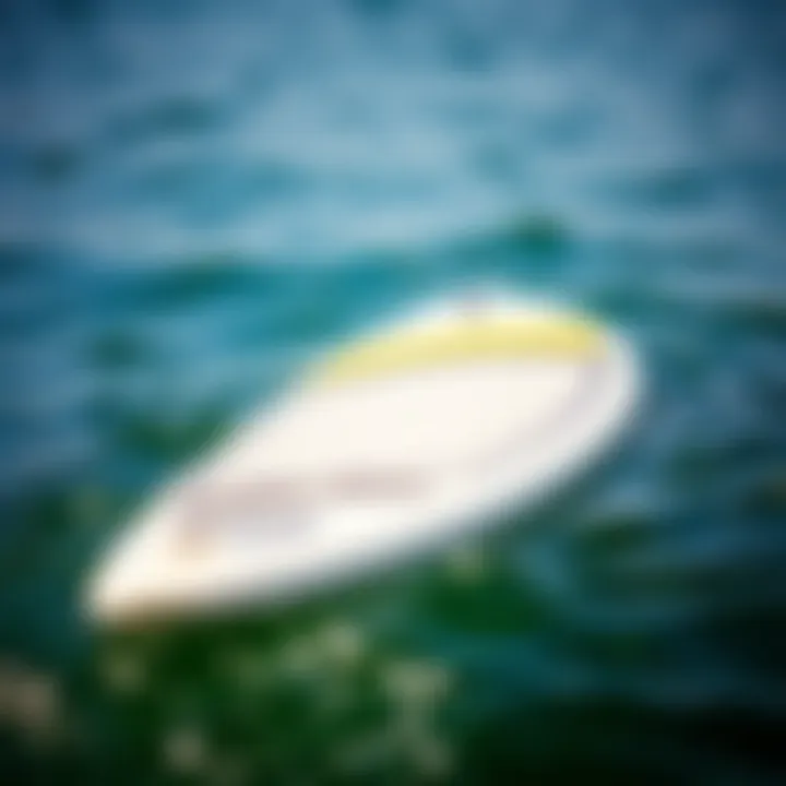 Stability Features of Paddle Boards Paddle board with ample width for stability in water