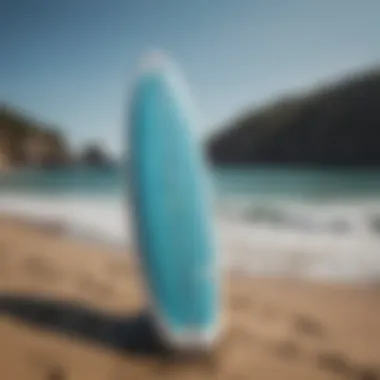 Comparison of Paddle Board Brands A collection of various brands of inflatable stand-up paddle boards.