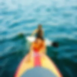 Choosing the Right Paddle Board: A Comprehensive Guide Introduction