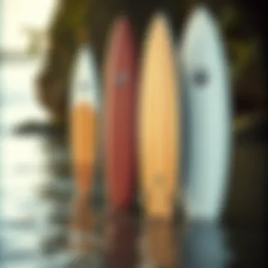 Paddle Board Shapes for Various Heights Different paddle board shapes for various heights