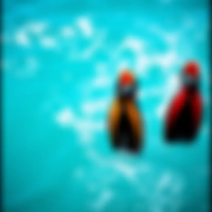 Choosing the Right Swim Fins for Wide Feet Introduction