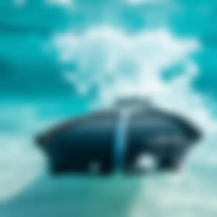 Notable Choosing the Right Swim Fins for Wide Feet