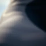 A close-up view of wetsuit material showcasing texture and flexibility