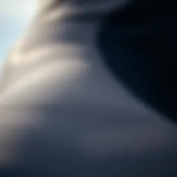 A close-up view of wetsuit material showcasing texture and flexibility