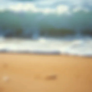 Soft Waves on Sandy Beach Close-up of sandy beach with soft waves breaking