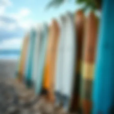 A diverse collection of surfboards lined up on the beach, representing various styles and designs.