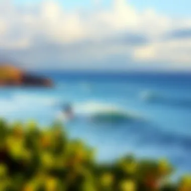 A panoramic view of a popular surfing spot in Maui, highlighting the local surf conditions.