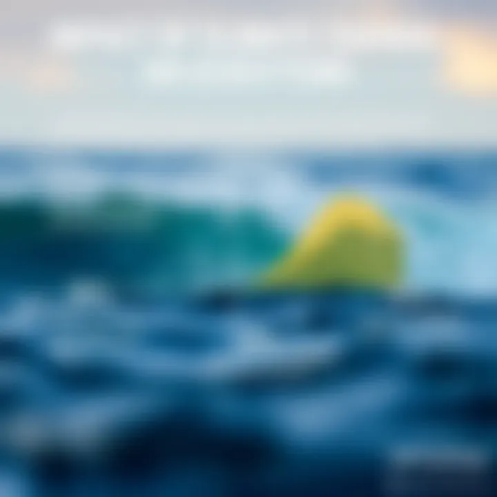 Impact of Climate Change on Ecosystems Infographic depicting the effects of climate change on ecosystems