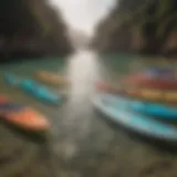 Different sizes of stand-up paddle boards arranged side by side.