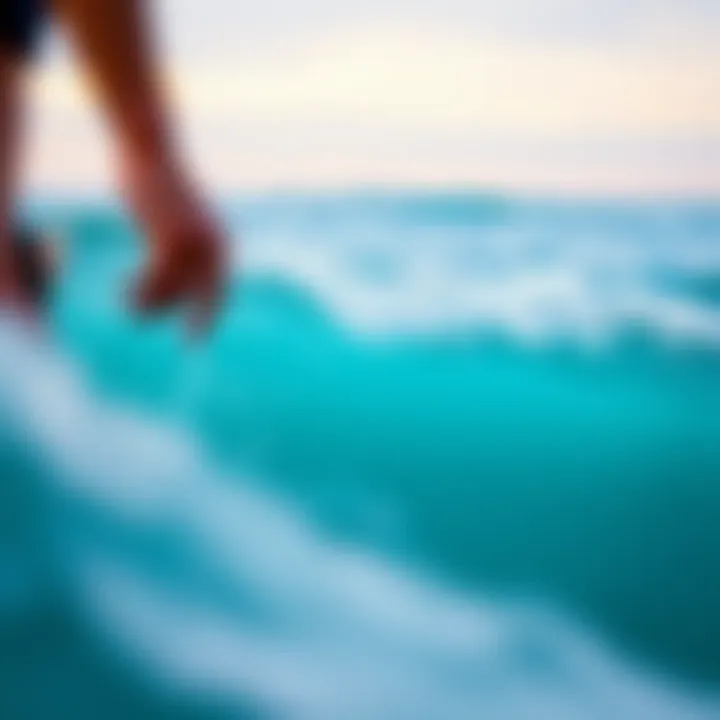 Conservation efforts for clean surf spots