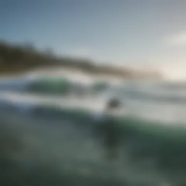 Surfing Community in Action: Champions of Ocean Conservation A group of surfers engaging in ocean conservation efforts, symbolizing community action.