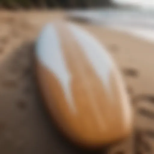 A beautifully shaped surfboard resting on the sand