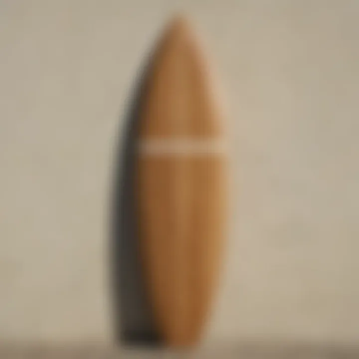 Craftsmanship details on a high-end surfboard