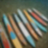 Different types of paddle boards displayed side by side for comparison.