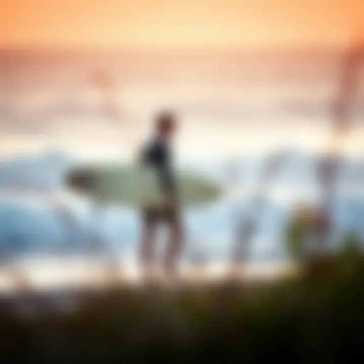 Natural Indicators of Wind Direction Surfer observing wind direction using natural indicators