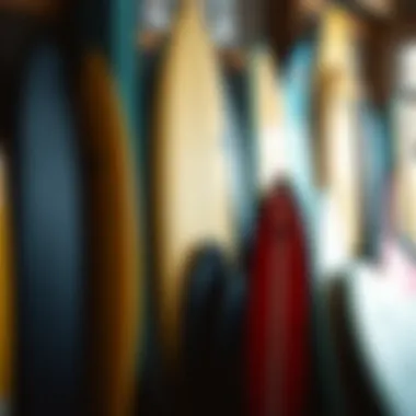 Variety of Boogie Board Shapes and Sizes Different shapes and sizes of boogie boards on display