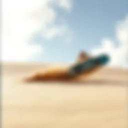 Dune Sandboarding: An Exploration of Technique and Culture Introduction
