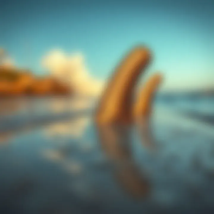 Sustainable Materials in Fin Construction Eco-friendly surfboard materials