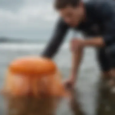 An illustration of first aid techniques to treat jellyfish stings, depicting the application of vinegar and removal of tentacles.