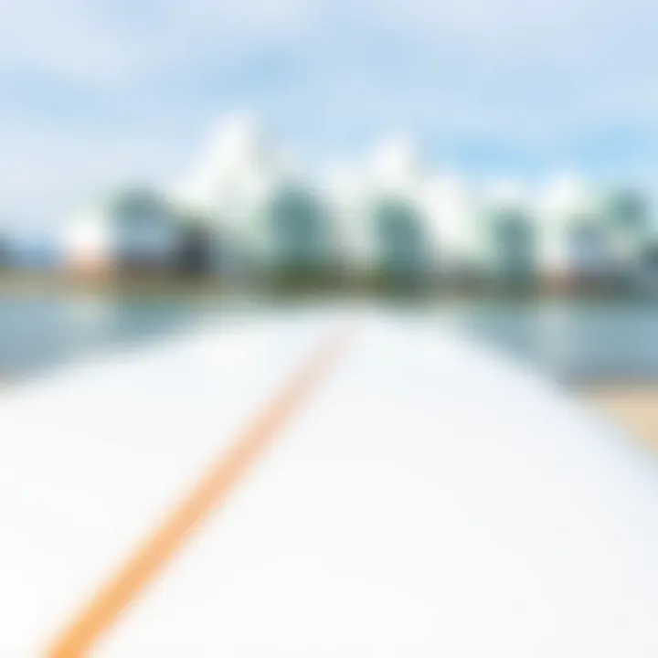 Pristine Surfboard A pristine surfboard ready for wax removal