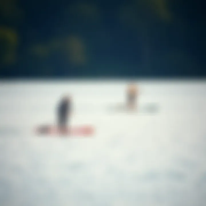A serene lake scene with paddle boards in action