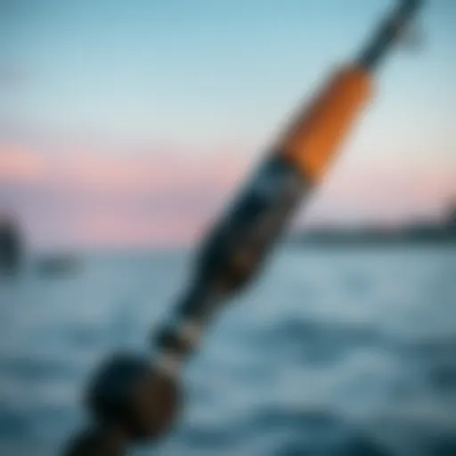 Premium Surf Rod Combo for Optimal Performance High-quality surf rod combo for enthusiasts