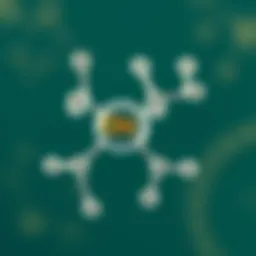 Chemical structure of oxybenzone