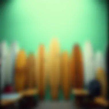 Diverse longboard types displayed on a vibrant background