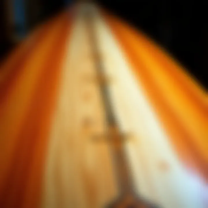 Close-up of longboard features highlighting materials and craftsmanship