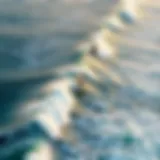 Aerial view of surfers riding waves