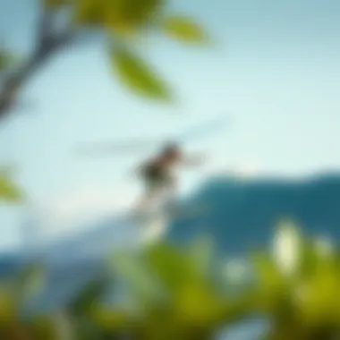 Aerosurf and Environmental Sustainability Visual representation of aerosurf's environmental benefits