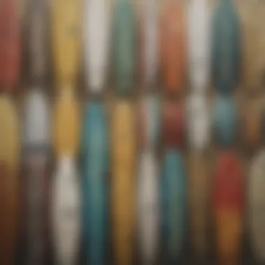 Diversity in Body Surf Board Designs A collage of various body surf board styles and materials, highlighting diversity in design.
