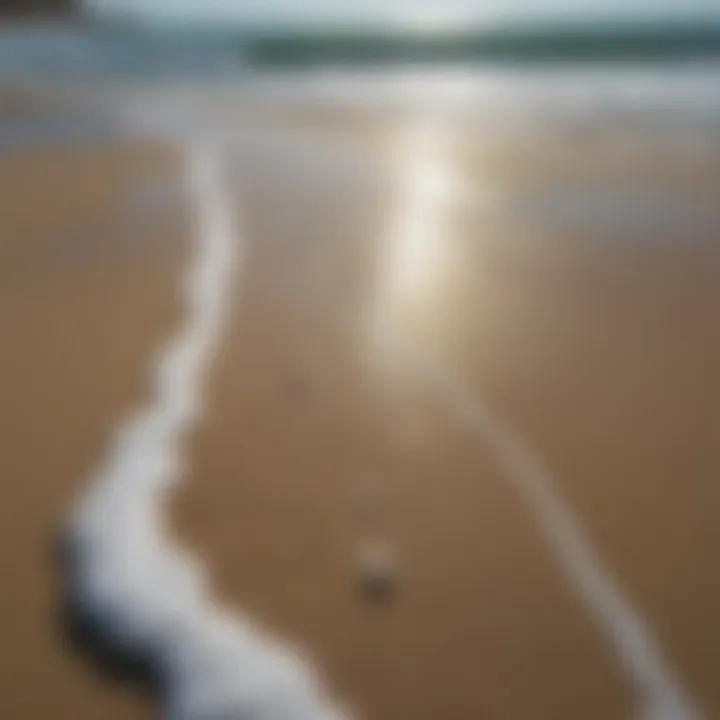 A close view of the sandy shoreline beside clear blue waters