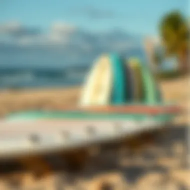 CWB Surfboards and Surf Culture A scenic beach setting with CWB surfboards lined up, symbolizing the surf culture