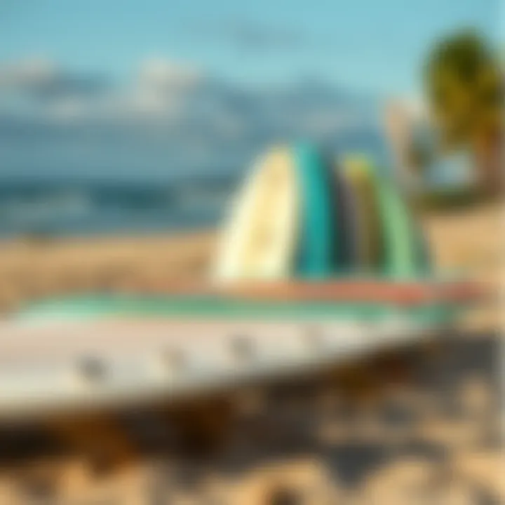 CWB Surfboards and Surf Culture A scenic beach setting with CWB surfboards lined up, symbolizing the surf culture