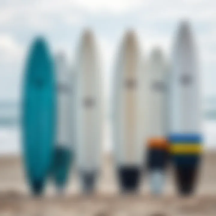 Comparison of CWB Surfboard Models A side-by-side comparison of different CWB surfboard models featuring various shapes and sizes