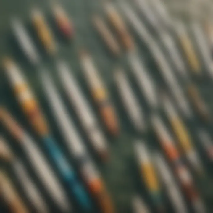 Historical evolution of paddle sails depicted through vintage surfboards