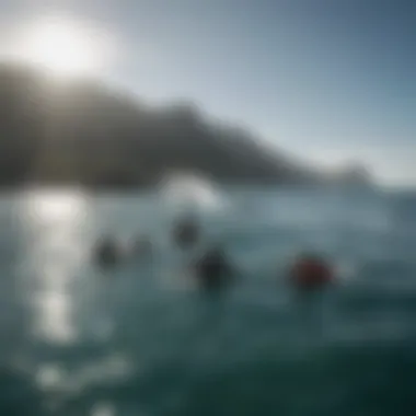 A group of divers practicing safety measures before a shark dive.